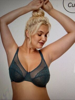 NWT Enchante Unlined Non Padded Lace Underwire Bra 38DDD Balsam Blue Comfortable